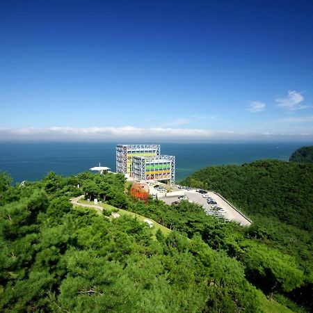Haslla Art World Museum Hotel Gangneung Bagian luar foto