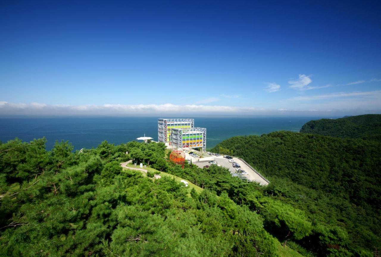 Haslla Art World Museum Hotel Gangneung Bagian luar foto